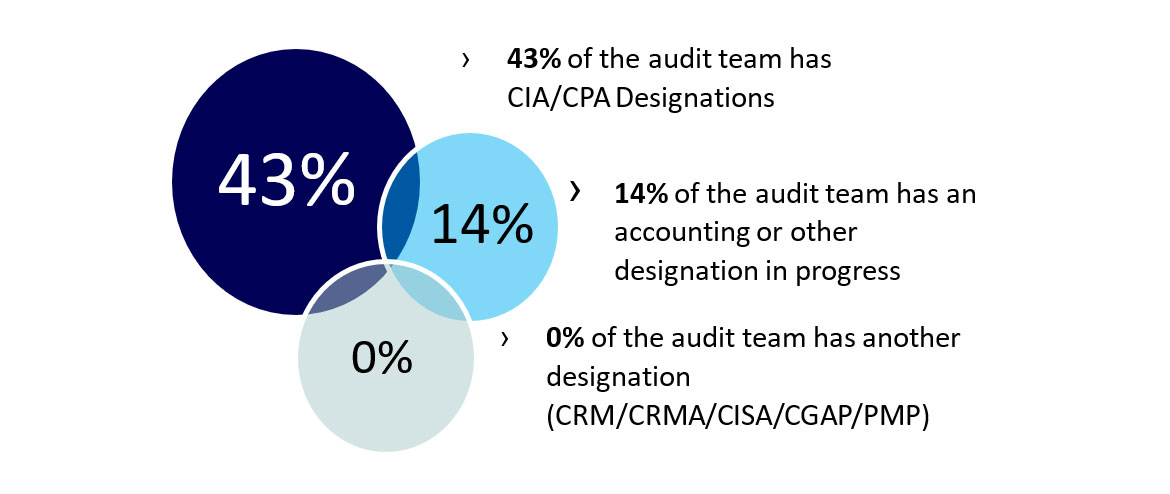 Bubble chart showing the breakdown of the internal audit staff qualifications as of December 31, 2024
