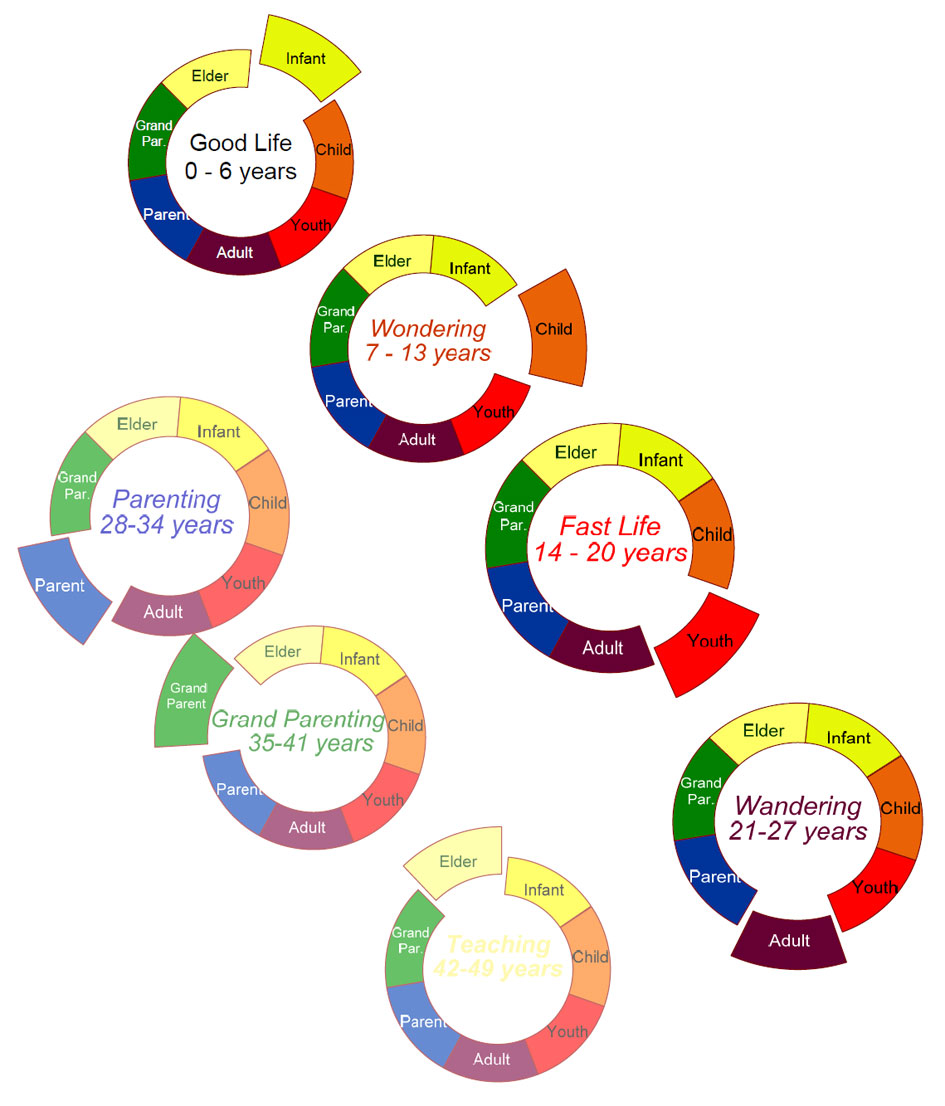 The Seven Stages of Life