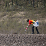Aiden Smith, de l’équipe de la revégétalisation, prépare le sol pour la plantation.